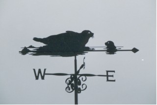 Seals weathervane