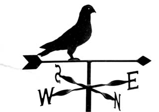 Pigeon weathervane